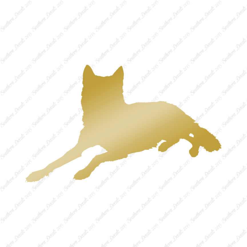 Coyote Wolf Wild Dog