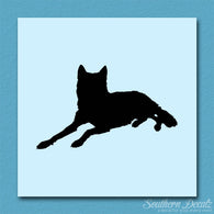 Coyote Wolf Wild Dog