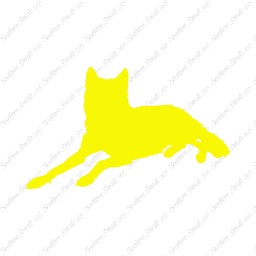 Coyote Wolf Wild Dog