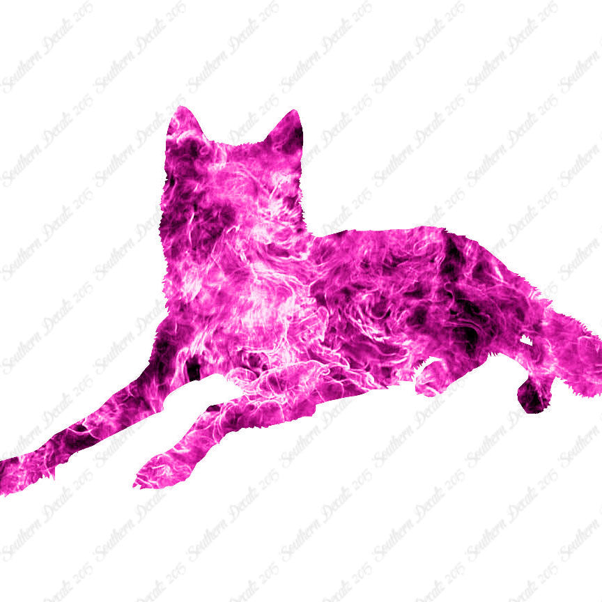 Coyote Wolf Wild Dog