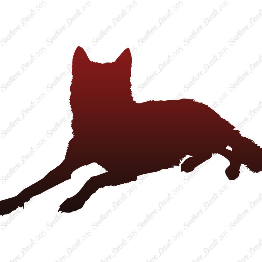 Coyote Wolf Wild Dog