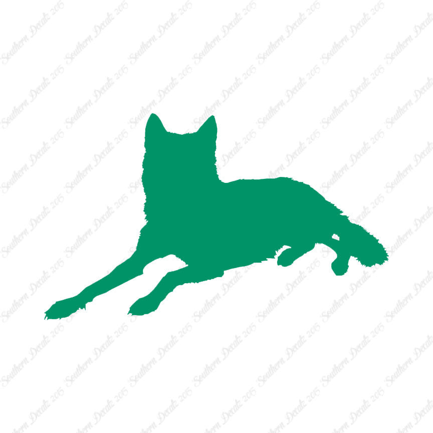 Coyote Wolf Wild Dog
