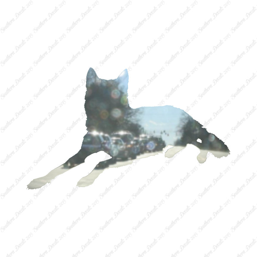 Coyote Wolf Wild Dog