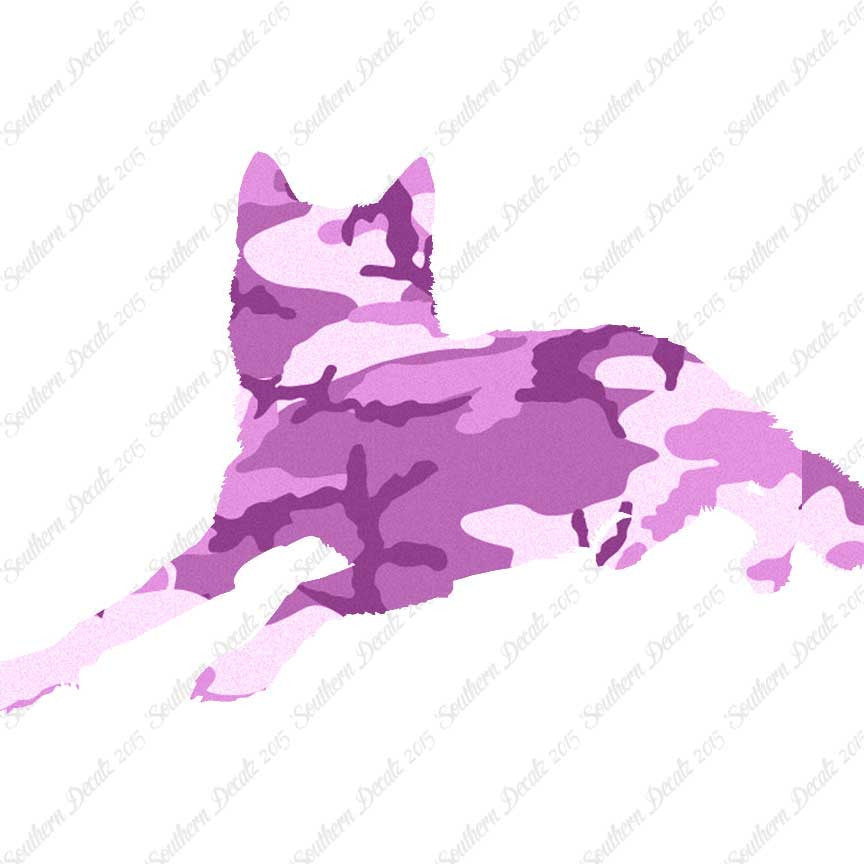 Coyote Wolf Wild Dog
