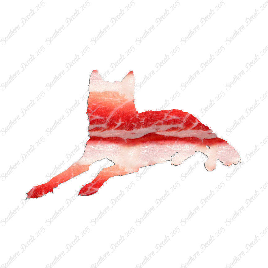 Coyote Wolf Wild Dog