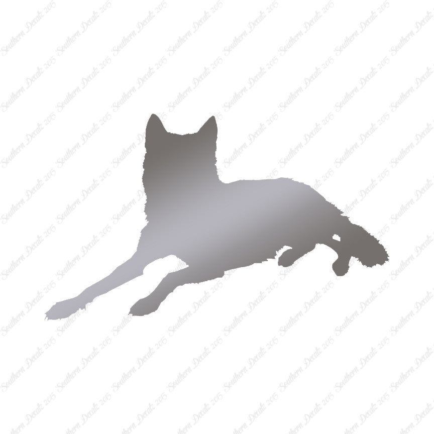 Coyote Wolf Wild Dog