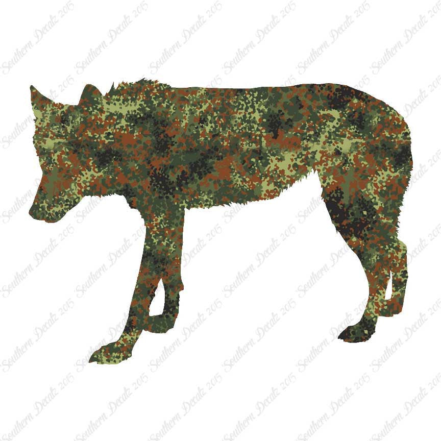 Coyote Wild Dog Wolf