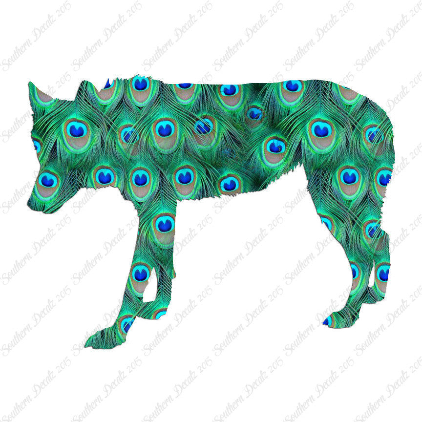 Coyote Wild Dog Wolf