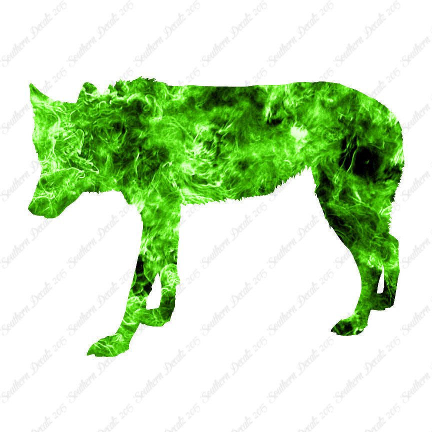 Coyote Wild Dog Wolf
