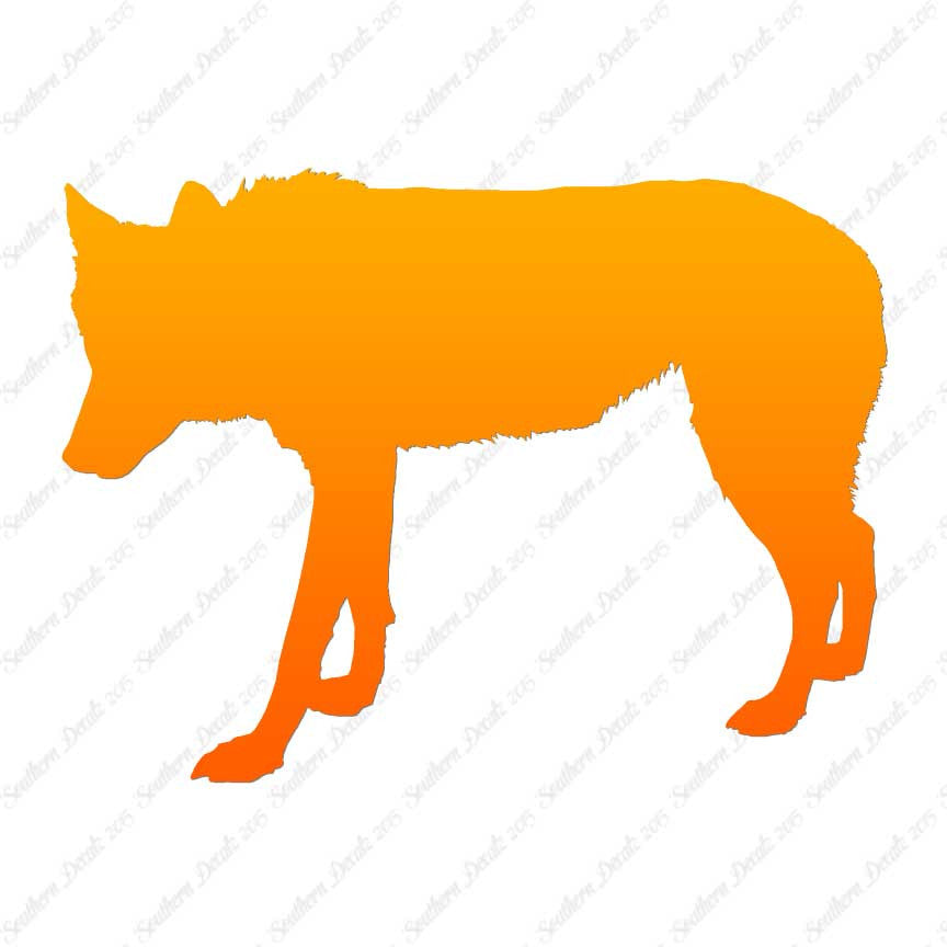 Coyote Wild Dog Wolf