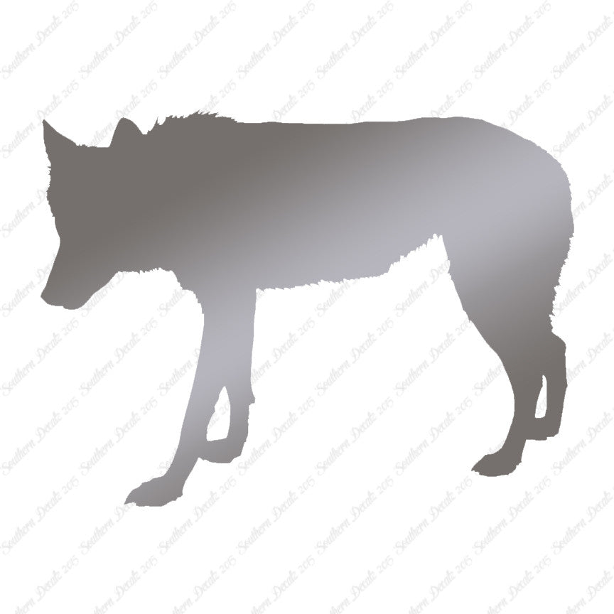 Coyote Wild Dog Wolf