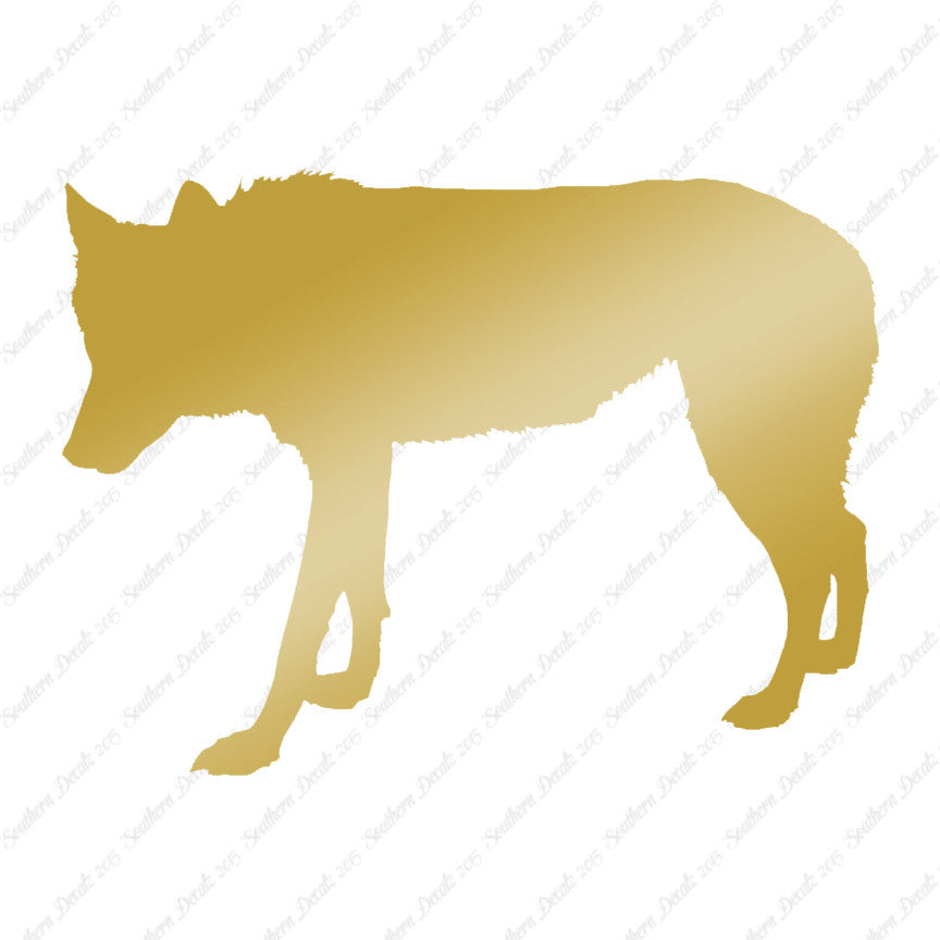Coyote Wild Dog Wolf