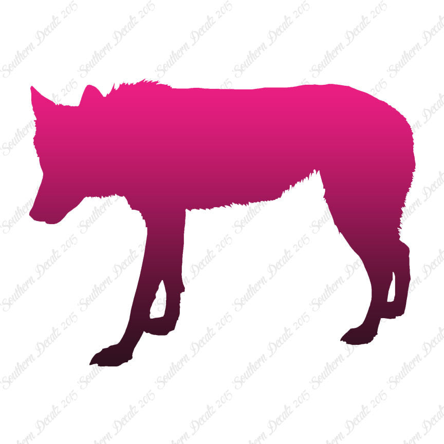 Coyote Wild Dog Wolf