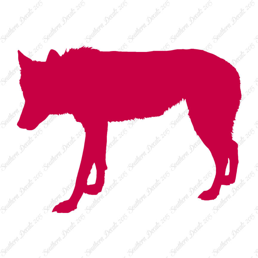 Coyote Wild Dog Wolf