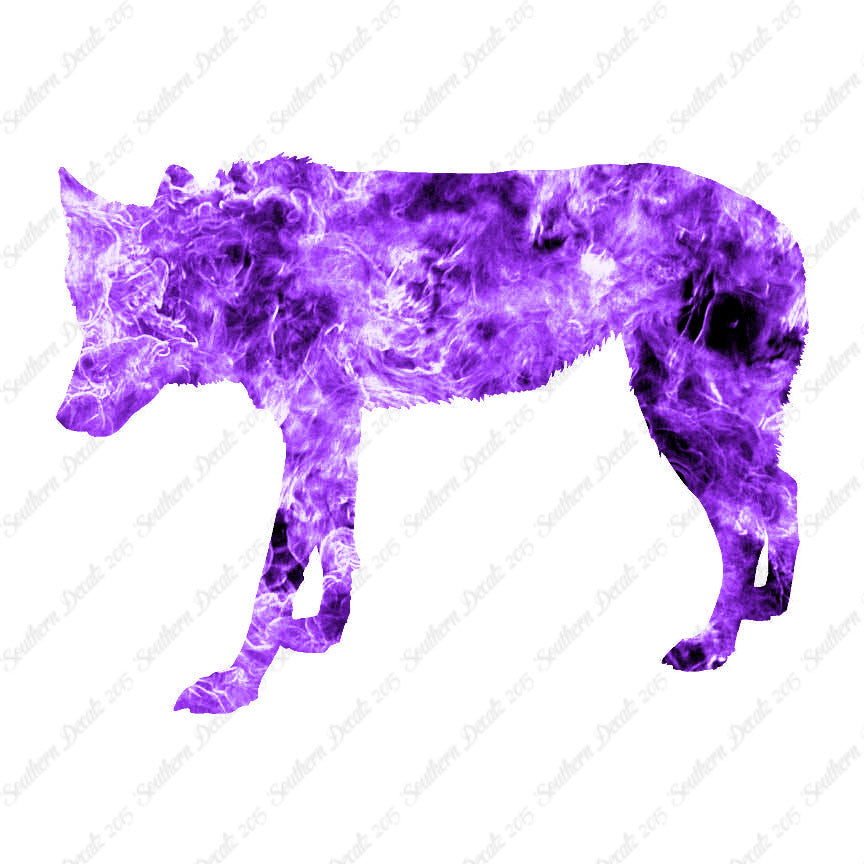 Coyote Wild Dog Wolf