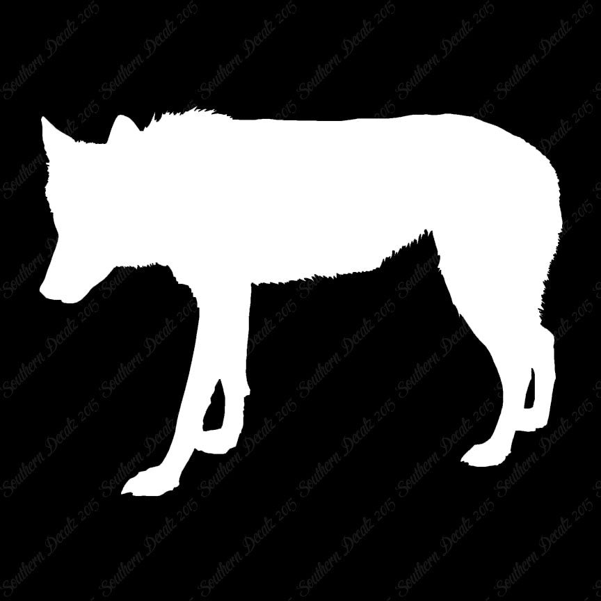 Coyote Wild Dog Wolf
