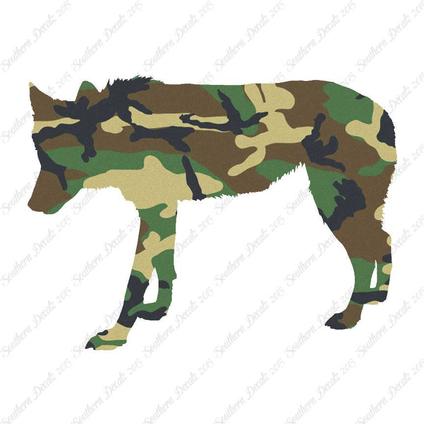 Coyote Wild Dog Wolf