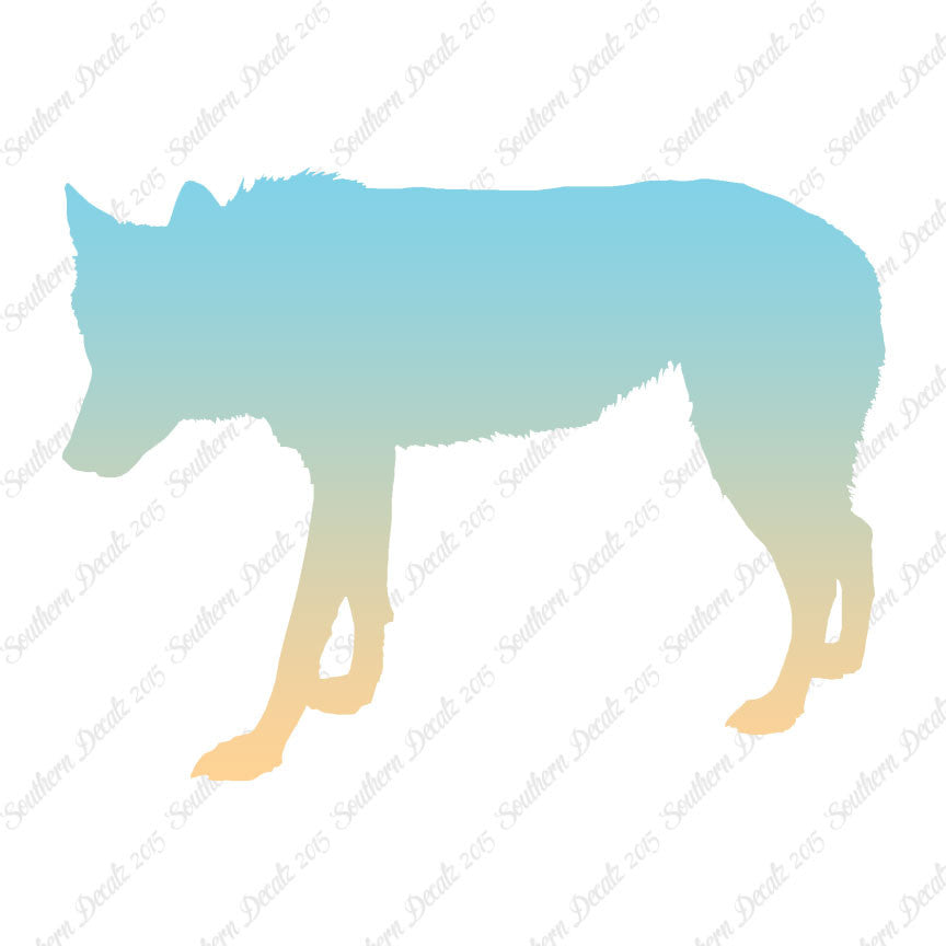 Coyote Wild Dog Wolf