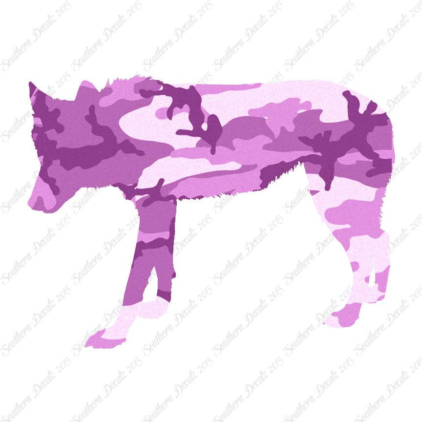 Coyote Wild Dog Wolf