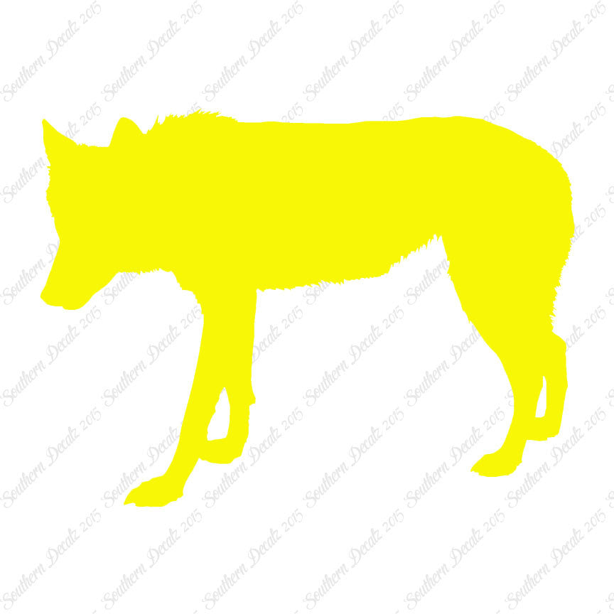 Coyote Wild Dog Wolf