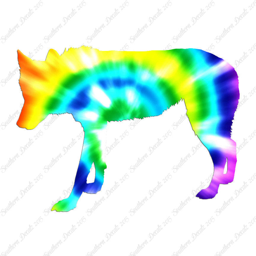 Coyote Wild Dog Wolf
