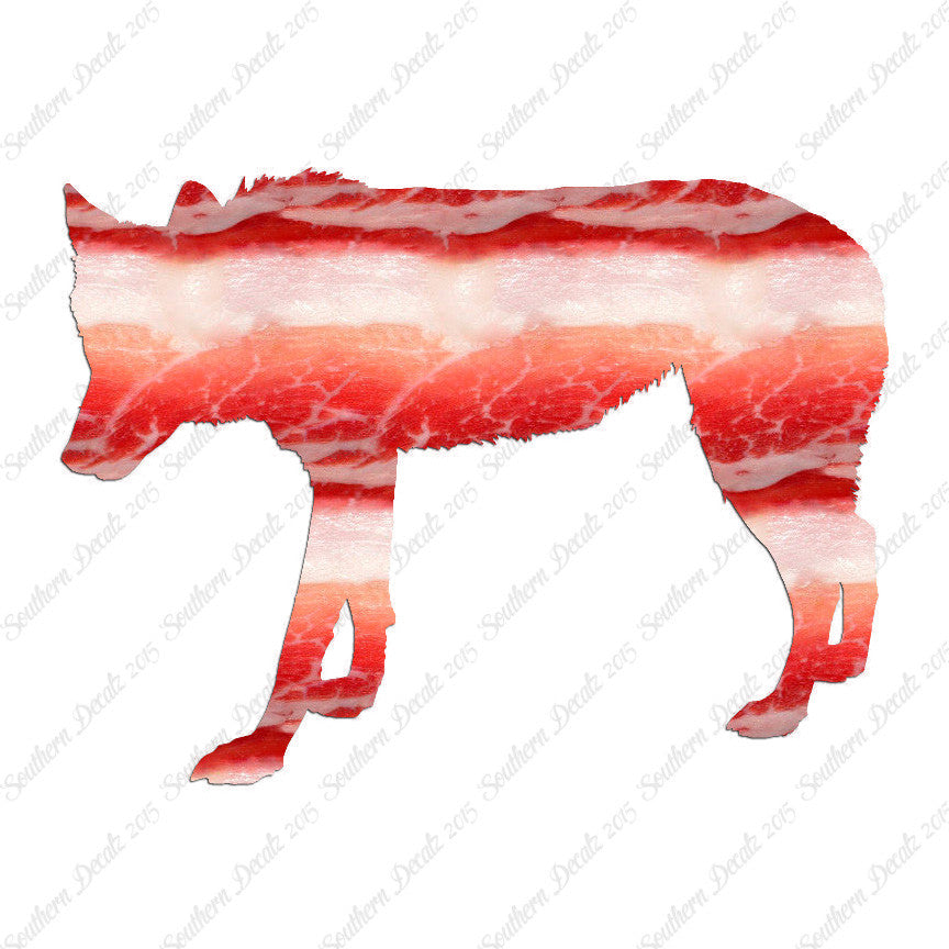 Coyote Wild Dog Wolf