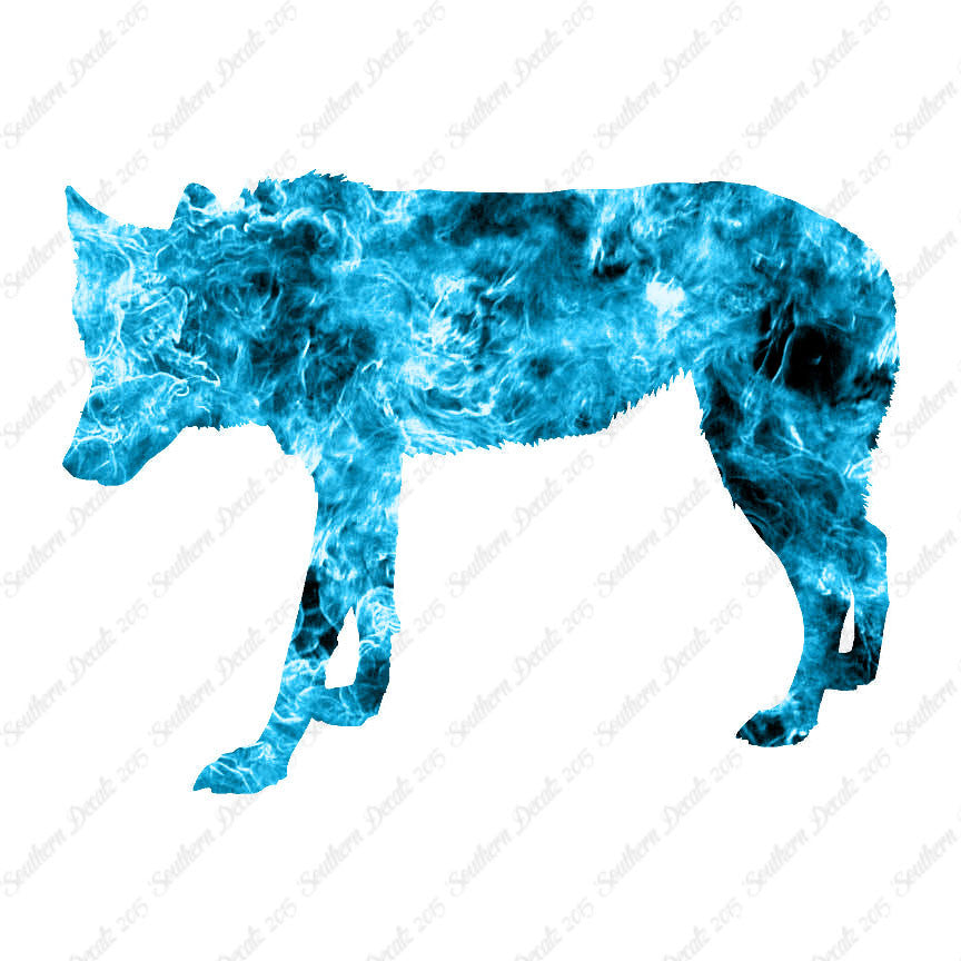 Coyote Wild Dog Wolf