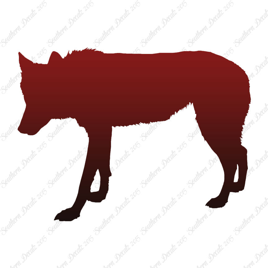 Coyote Wild Dog Wolf