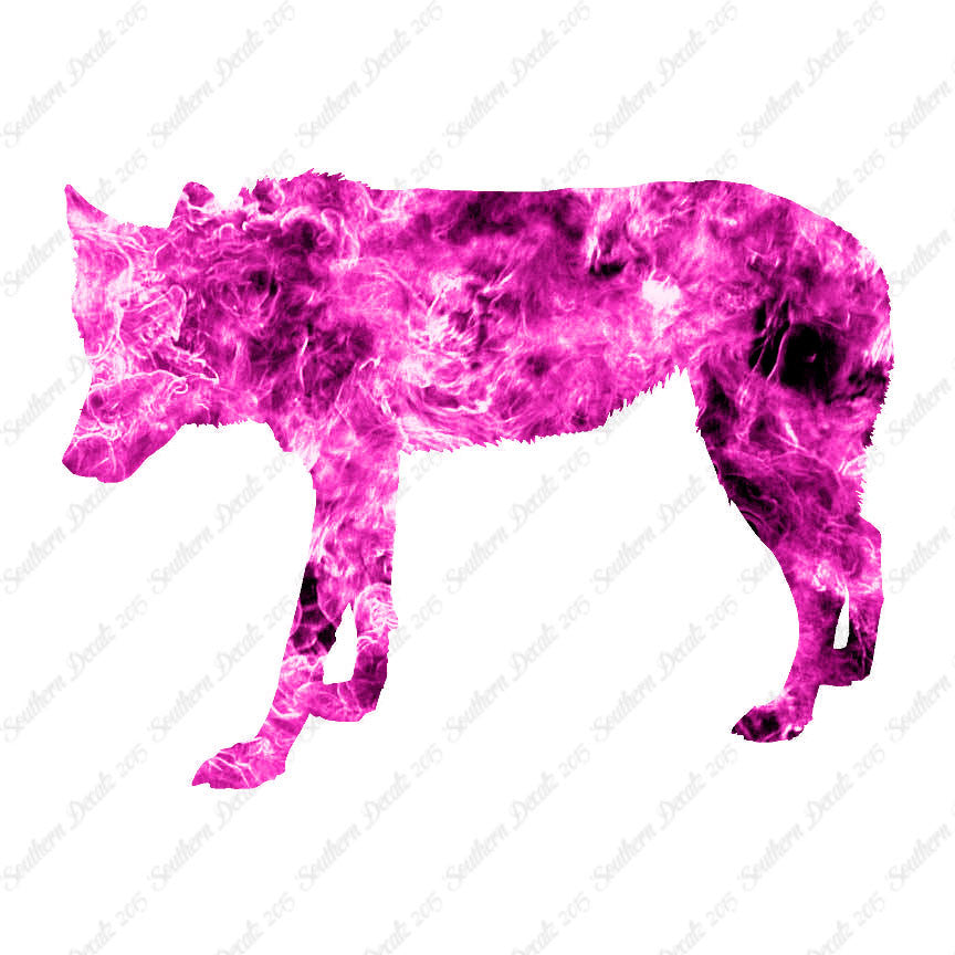 Coyote Wild Dog Wolf