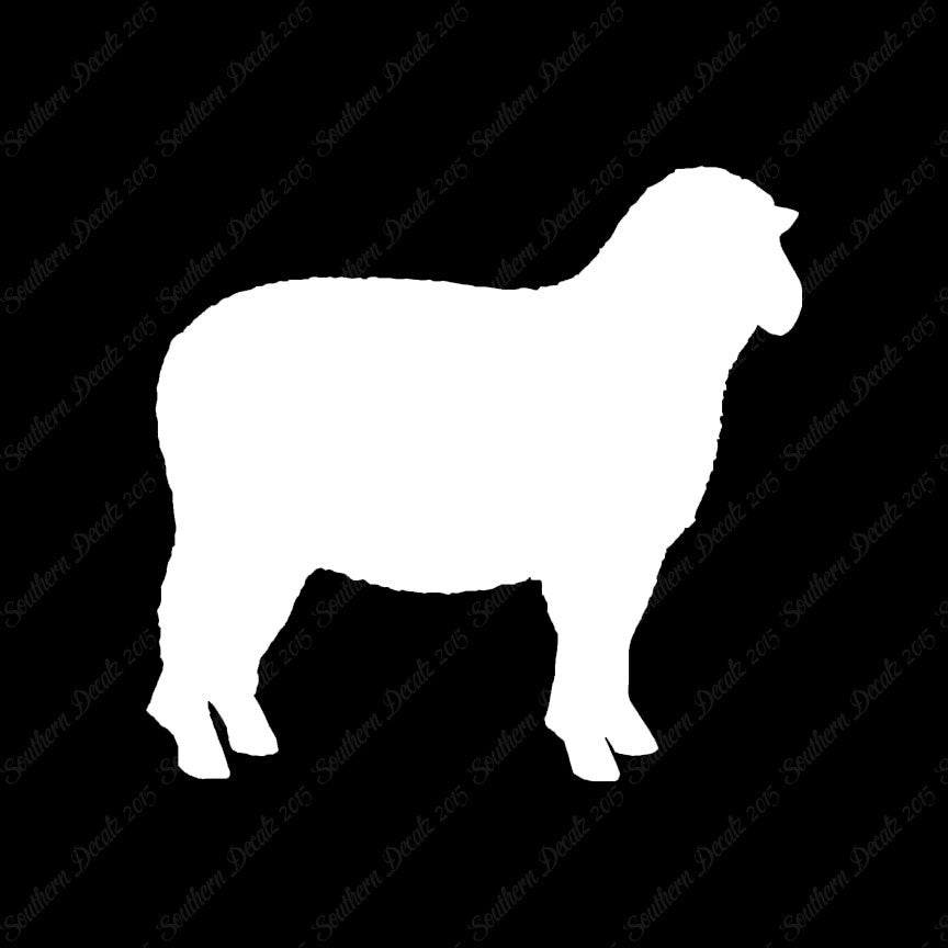 Sheep Ewe Ram