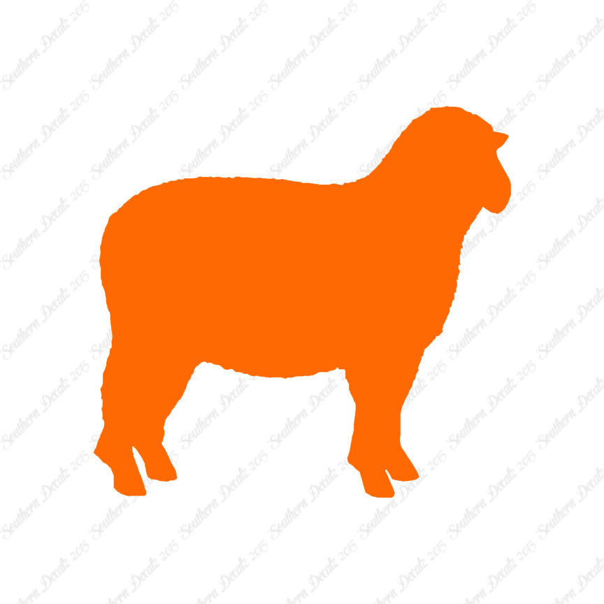 Sheep Ewe Ram