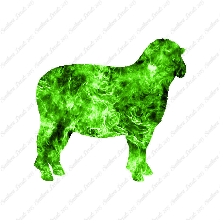 Sheep Ewe Ram