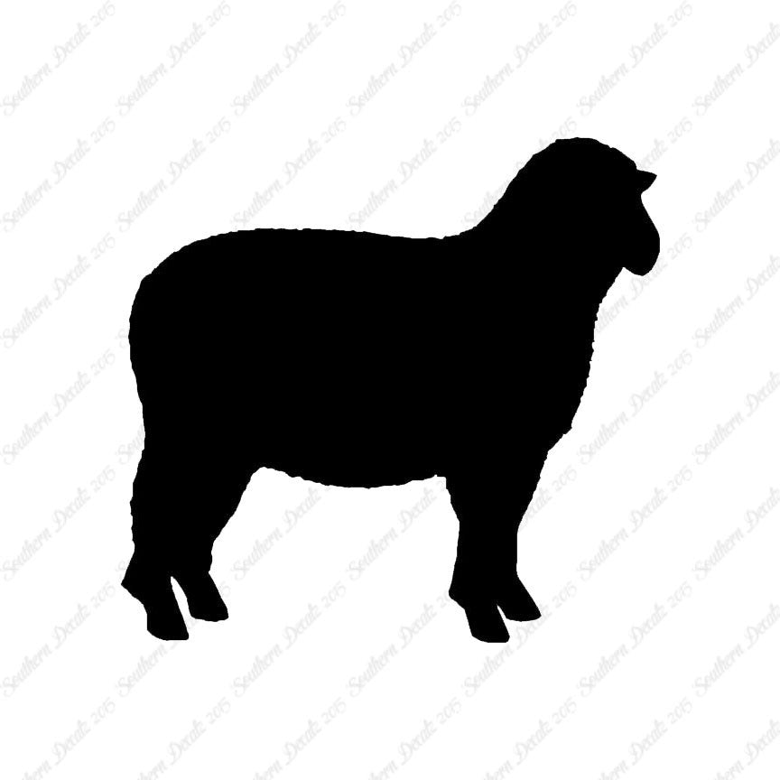 Sheep Ewe Ram
