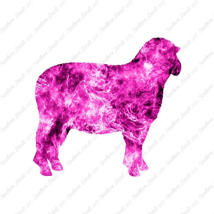 Sheep Ewe Ram