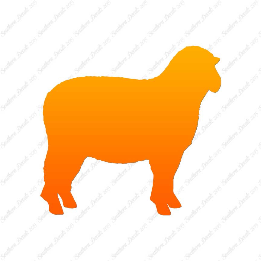 Sheep Ewe Ram