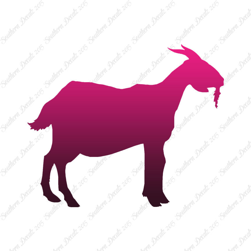 Billy Mountain Goat
