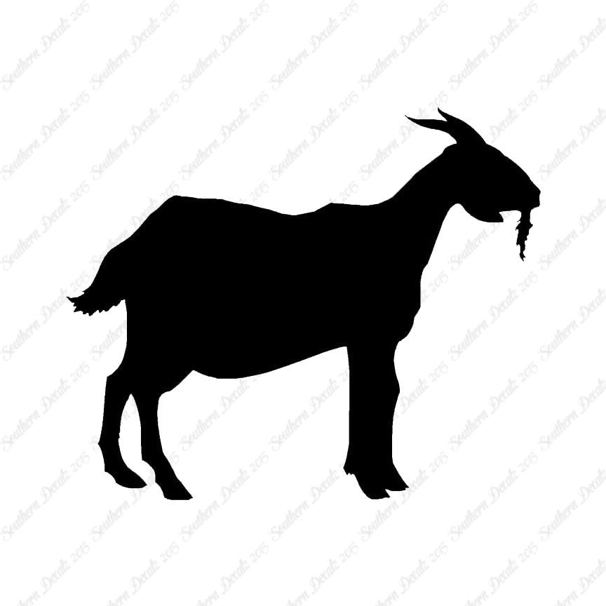 Billy Mountain Goat