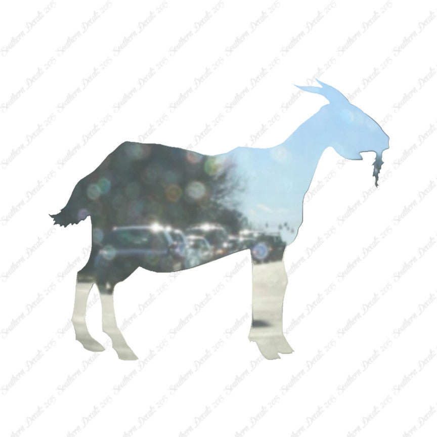 Billy Mountain Goat