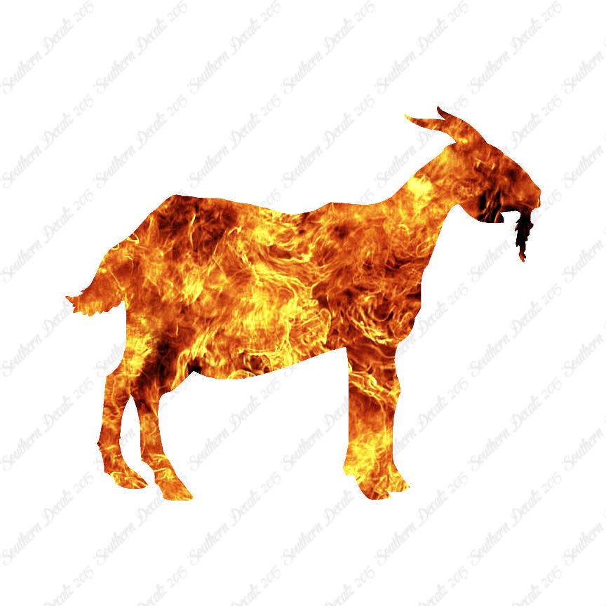Billy Mountain Goat