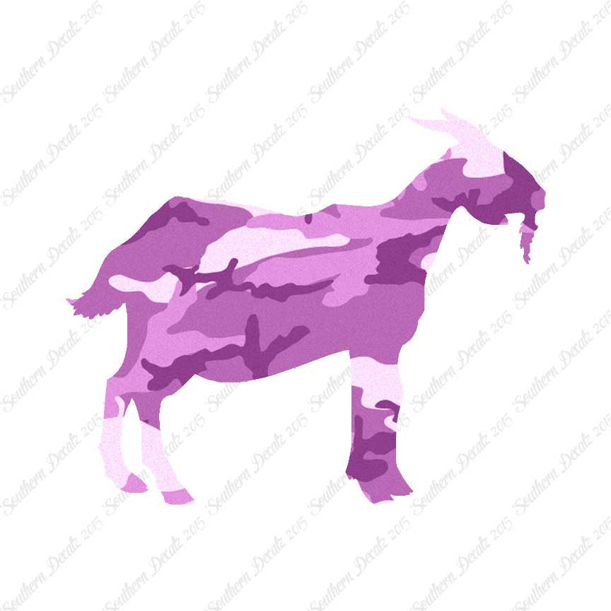 Billy Mountain Goat