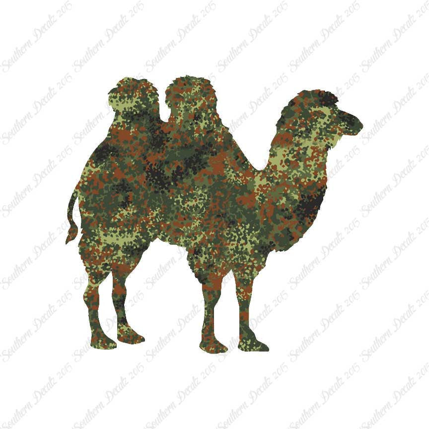 Persian Bactrian Camel