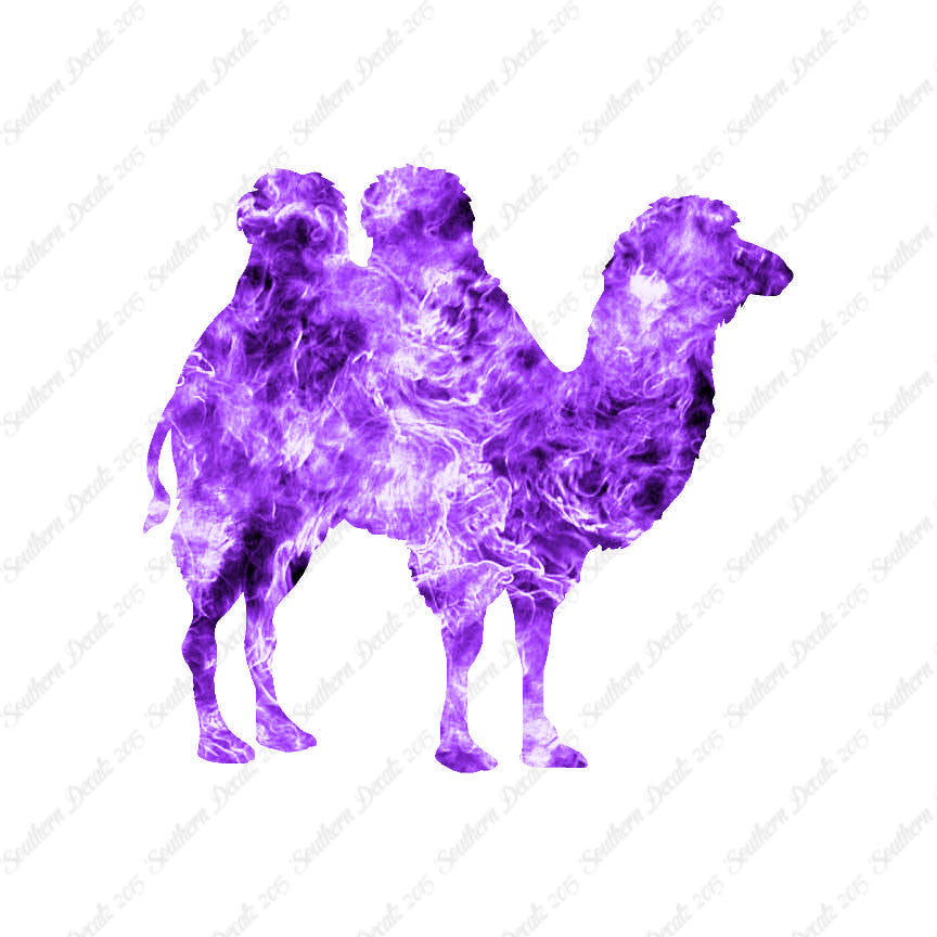 Persian Bactrian Camel