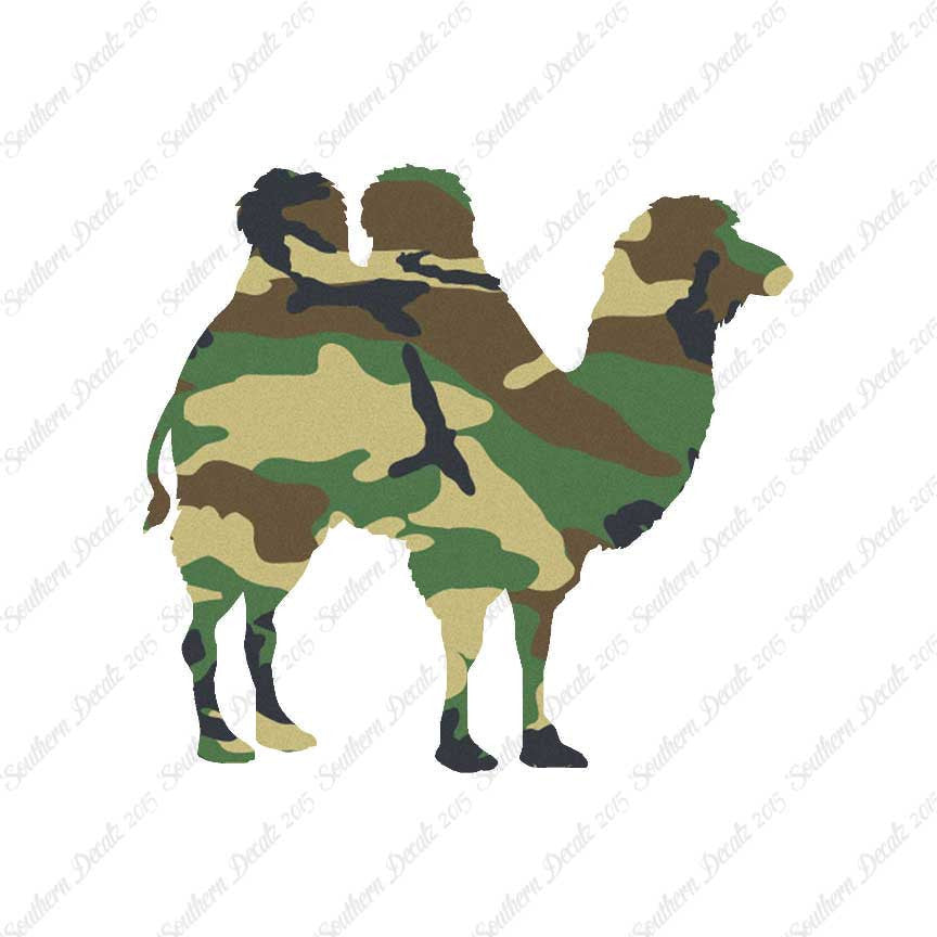 Persian Bactrian Camel