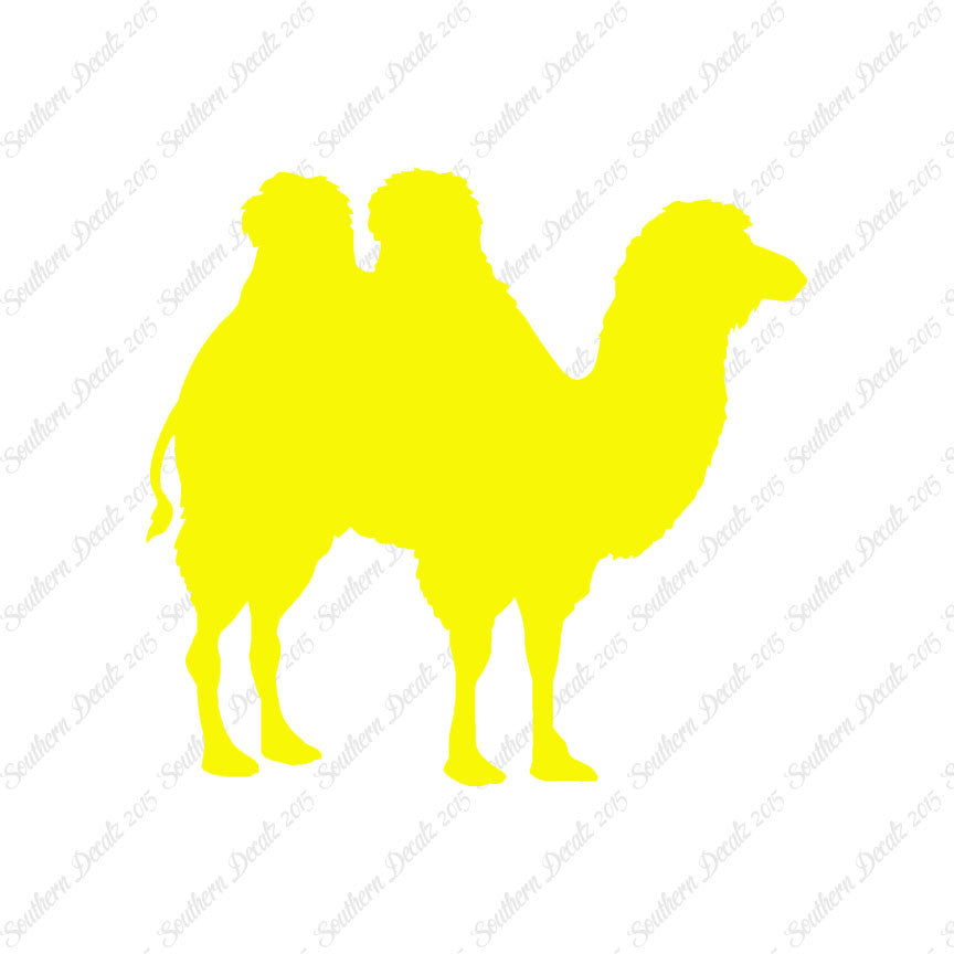 Persian Bactrian Camel