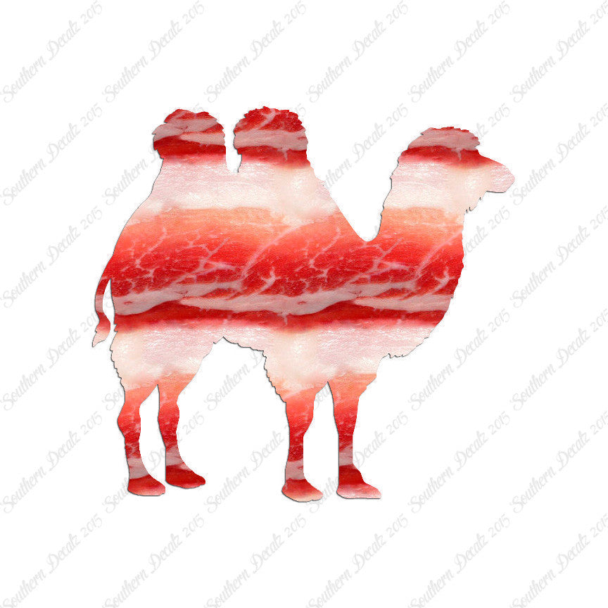 Persian Bactrian Camel