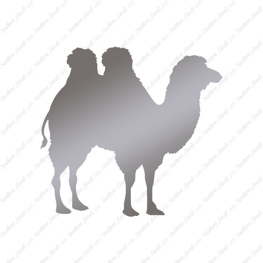 Persian Bactrian Camel