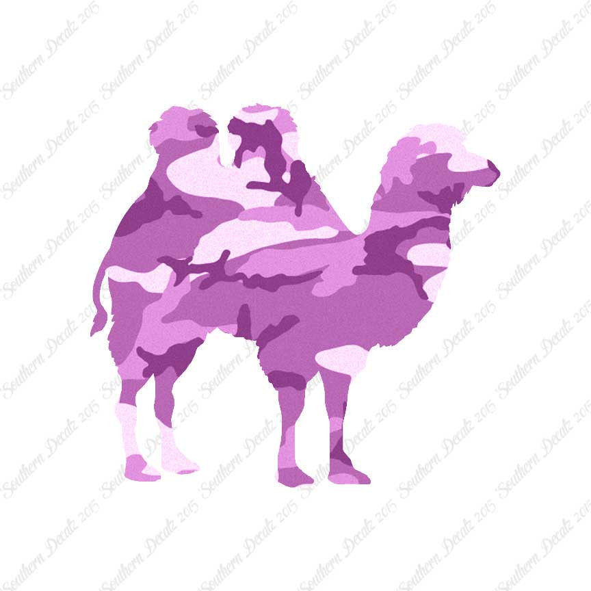 Persian Bactrian Camel
