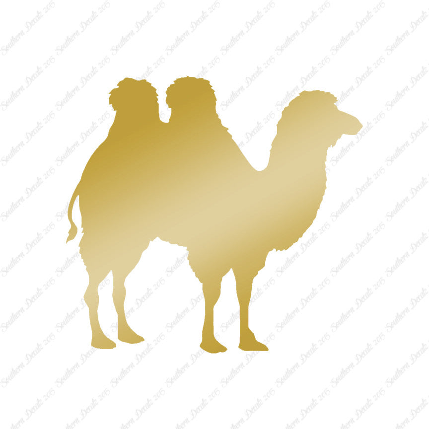 Persian Bactrian Camel