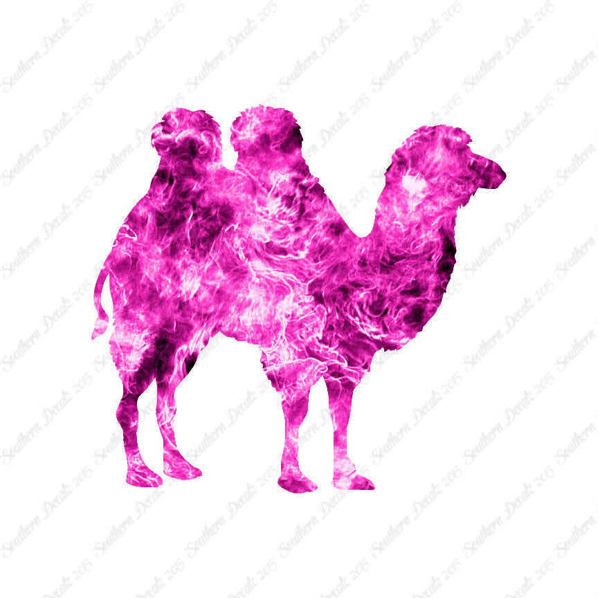 Persian Bactrian Camel