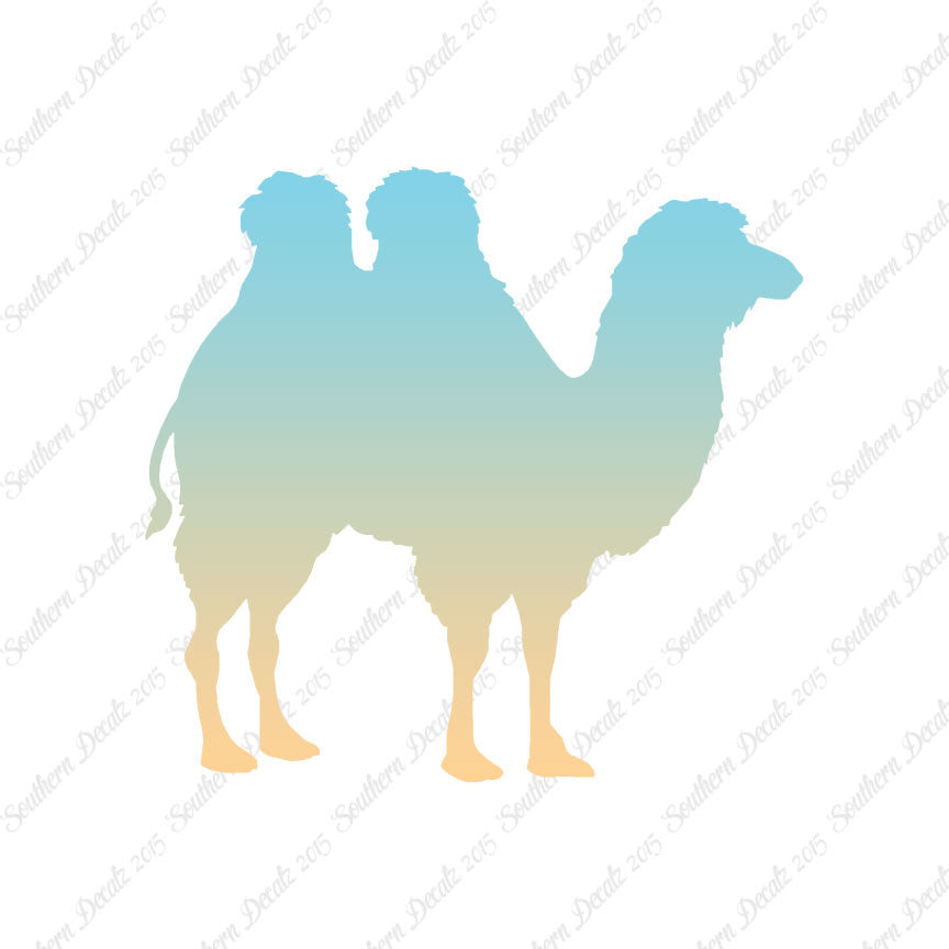 Persian Bactrian Camel